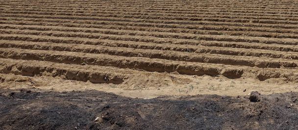 Tarımsal çalışmalardan sonra düzenli tarlalara bakış - Fotoğraf, Görsel