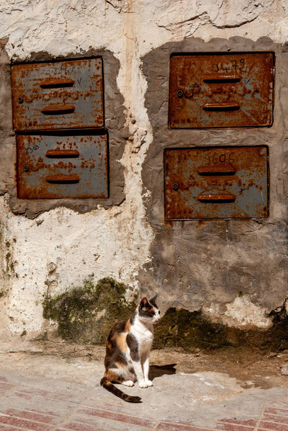 Distrito de Mellah en la medina de Essaouira
 - Foto, Imagen