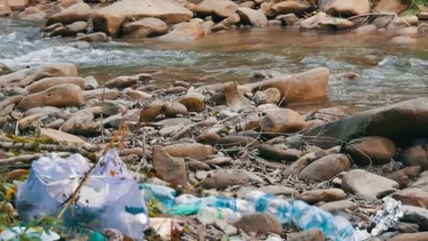 Montanha fluxo limpo rápido, na costa rochosa, que tem lixo, garrafas de plástico, sacos. O factor humano na poluição ambiental. Desfoque de lixo especial
 - Filmagem, Vídeo