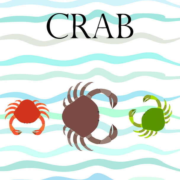 Crabs. Seafood. Vector illustration of a sea animal. - Vector, afbeelding
