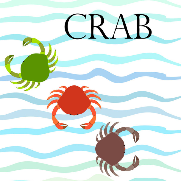 Crabs. Seafood. Vector illustration of a sea animal. - Vektor, Bild