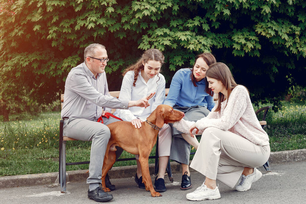 Elegant family spend time in a summer park - Valokuva, kuva