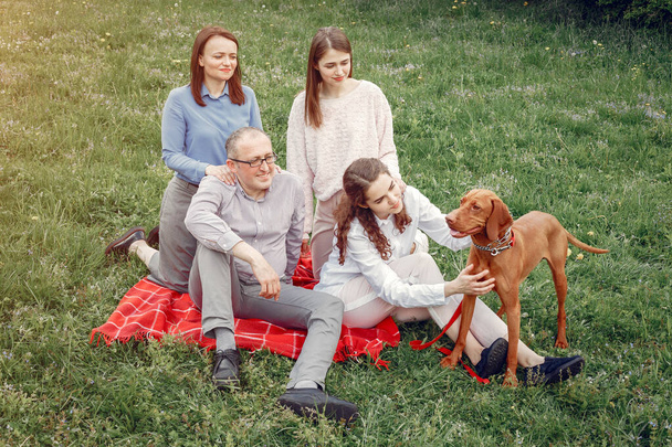 Elegant family spend time in a summer park - Foto, Imagem