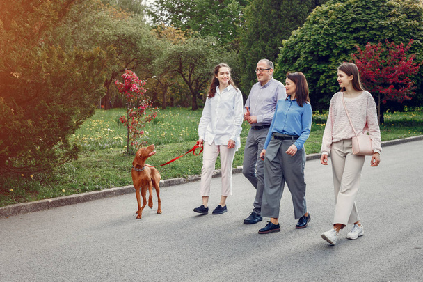 Elegant family spend time in a summer park - Zdjęcie, obraz
