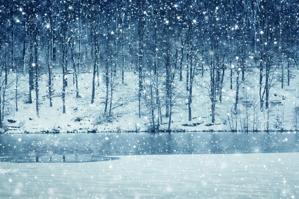 Paysage hivernal d'arbres gelés et de chutes de neige
. - Photo, image