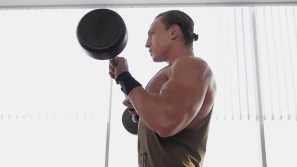 Biceps curls with barbell - Filmati, video