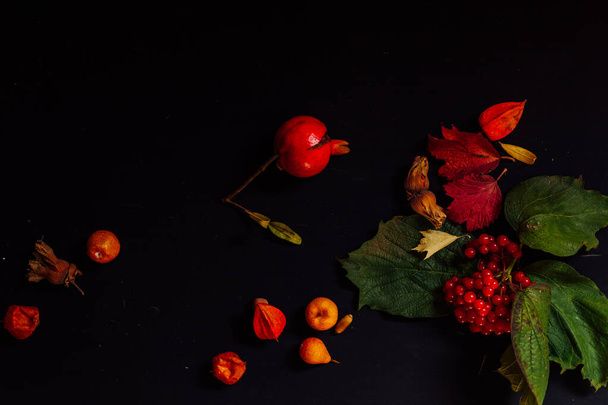 hoja de hoja amarilla y roja textura de fondo otoño
 - Foto, Imagen