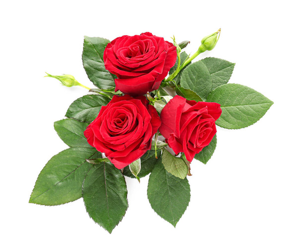 Beautiful rose flowers on white background - Photo, Image