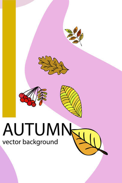 set of vector icons for your design - Vektori, kuva