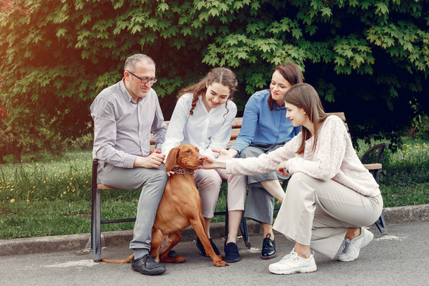 Elegant family spend time in a summer park - Fotoğraf, Görsel