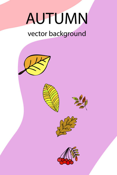 set of vector icons for your design - Vektor, Bild