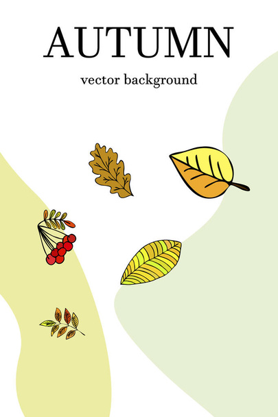 set of vector icons for your design - Vettoriali, immagini