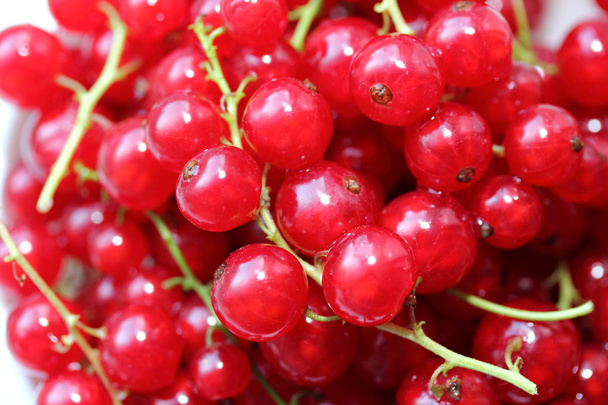Fresh Redcurrants - Фото, изображение