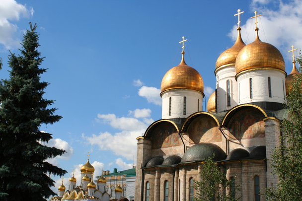 Breathtaking Famous The Annunciation Cathedral and The Archangel - Foto, afbeelding