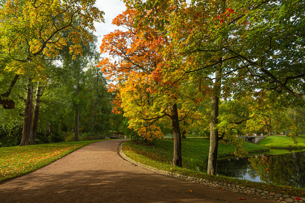 Autumn Park in Pushkin. Saint-Petersburg. Morning. - Photo, Image