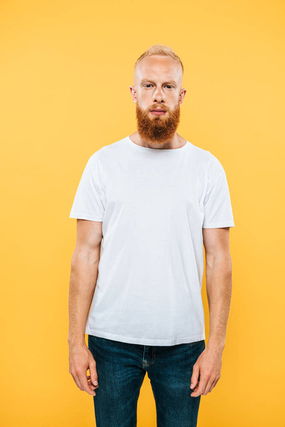portrait of serious handsome bearded man, isolated on yellow - 写真・画像