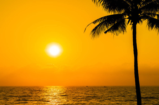 Magnifique cocotier Silhouette sur ciel proche mer océan être
 - Photo, image