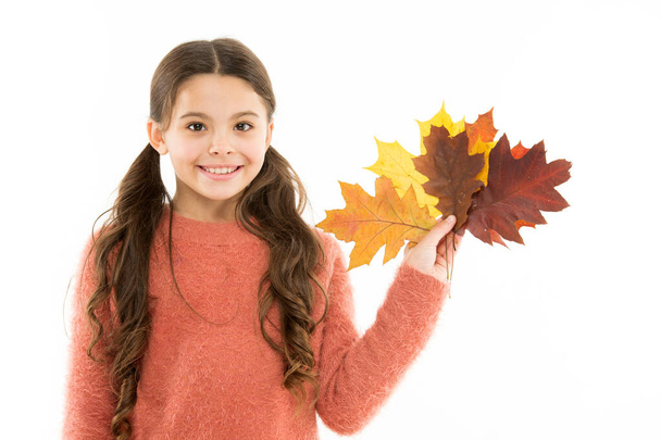 Flora and botany. Autumn discount. Black friday. Natural and organic. Healthy lifestyle. Natural beauty. Happy childhood. Small child on white background. Girl hold natural leaves. Bouquet concept - Foto, immagini