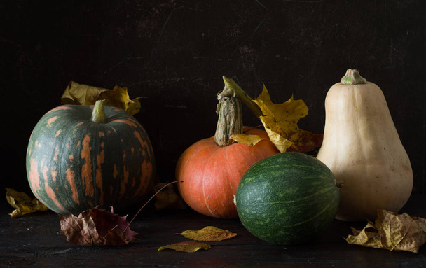 still life with pumpkins - Foto, Imagem