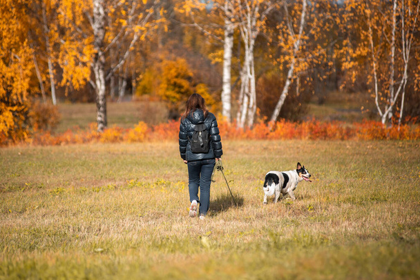 A girl in an autumn jacket walks with a dog on a leash in the autumn forest. - Foto, Bild