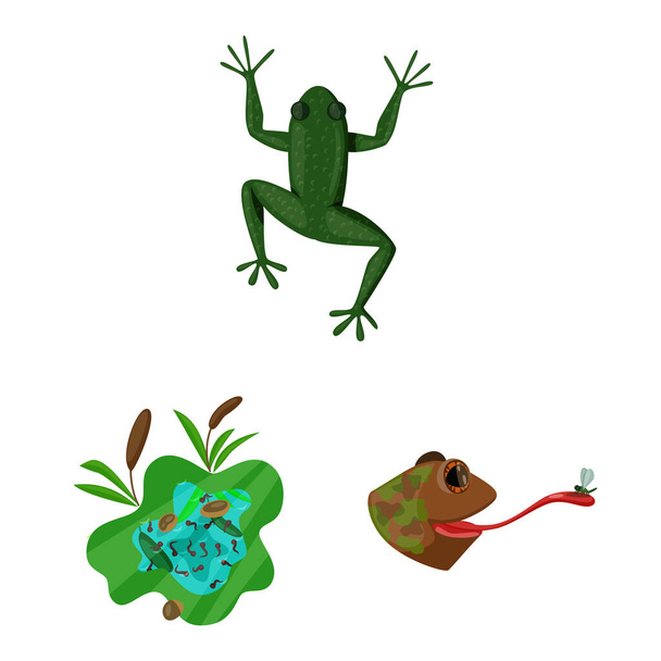 Wyizolowany obiekt żaba i symbol Anusha. Zestaw symbolu żaby i zwierząt dla stron internetowych. - Wektor, obraz