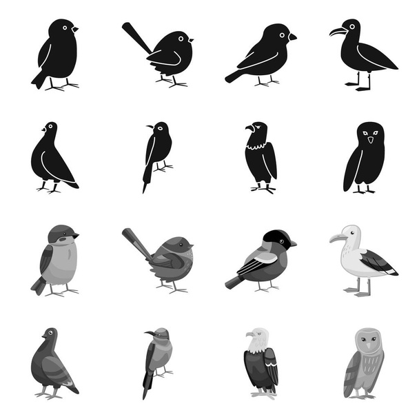Ilustración vectorial de animal y comodín. Colección de animal y vector natural icono para stock
. - Vector, imagen