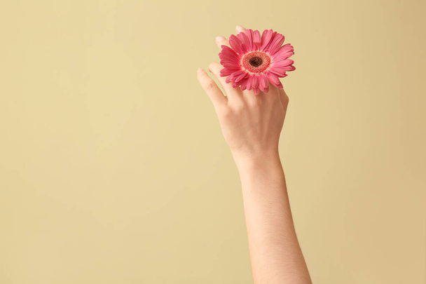 Female hand with beautiful flower on color background - Foto, imagen
