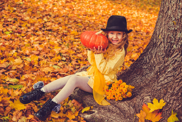 Little blond girl and big pumpkin in autumn background. - Photo, Image