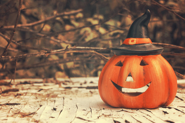 Halloween pumpkin on Fall background. Autumn mood photo - Zdjęcie, obraz