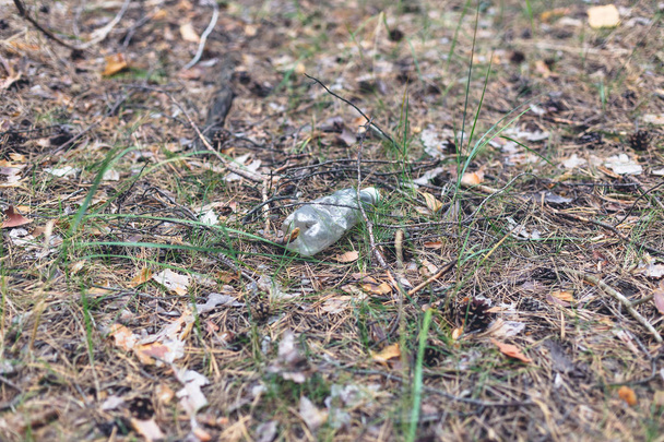 Bouteille en plastique blanc au sol dans une pinède
. - Photo, image