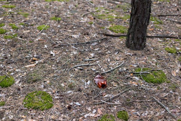 Braune Plastikflasche auf dem Boden in einem Kiefernwald.  - Foto, Bild