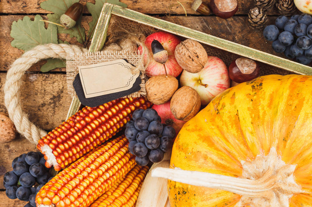 Thanksgiving day: Tray of different autumn vegetables - Fotografie, Obrázek