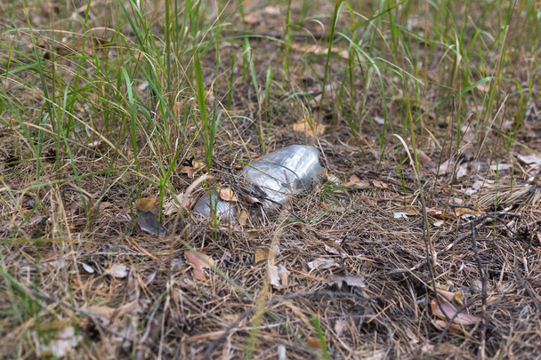 Λευκό πλαστικό μπουκάλι στο έδαφος σε ένα πευκοδάσος. - Φωτογραφία, εικόνα