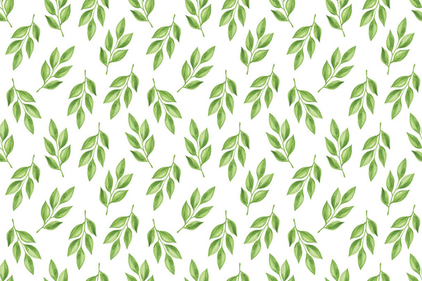 watercolor green fancy leaves, repeat pattern on the white background, seasonal illustration, simple decorative ornament - Фото, зображення