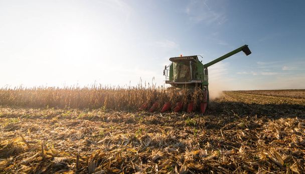 Kombinovat sklizeň kukuřice při západu slunce - Fotografie, Obrázek