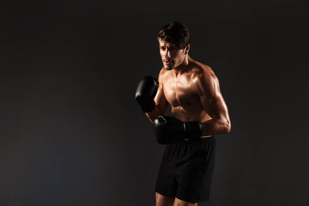 Handsome young strong sportsman boxer in gloves make exercises boxing isolated over black wall background. - Foto, imagen
