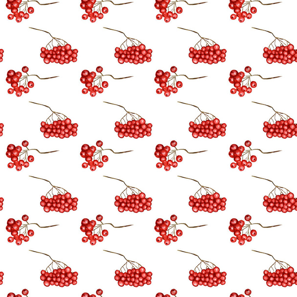 Kusursuz desenli Red Rowan güz böğürtleni mevsimlik, doğa meyvesi, beyaz arka planda sonbahar botaniği. Koleksiyon defteri, kumaş, doku, kağıt için suluboya sonbahar elementi el çizimi - Fotoğraf, Görsel