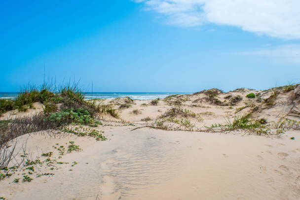 Μια όμορφη μαλακή και λεπτή αμμώδη παραλία κατά μήκος της ακτής του κόλπου της Νότιας Padre Island, Τέξας - Φωτογραφία, εικόνα