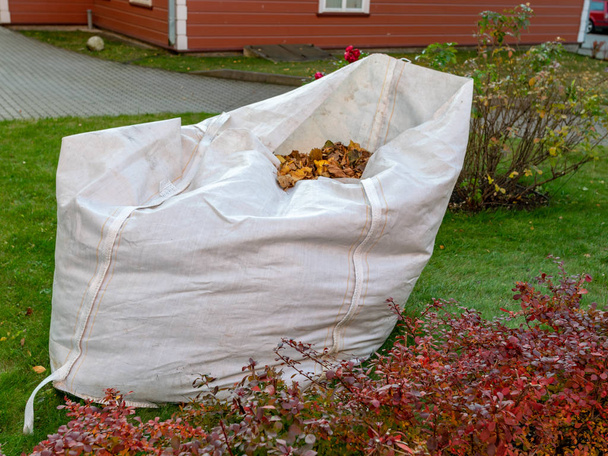 木の葉のための大きな白いゴミ袋と写真 - 写真・画像