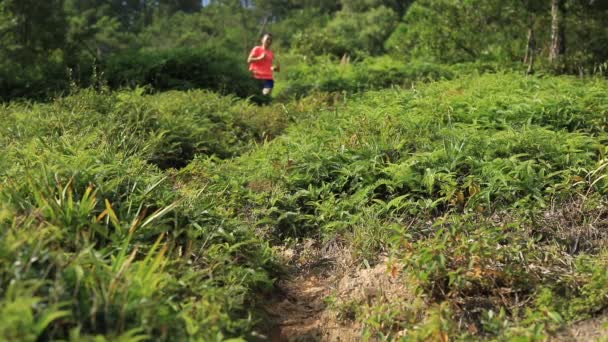Female ultramarathon runner training on green grassy hills - Footage, Video