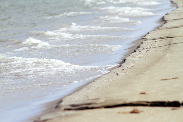 Морской берег в бурный день
 - Фото, изображение