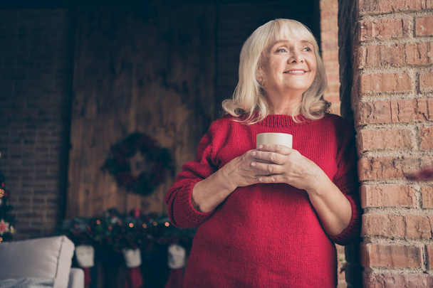 Portrait of her she nice attractive lovely sweet dreamy peaceful cheerful cheery gray-haired granny spending winter December vacation drinking cacao at decorated industrial loft style interior house - 写真・画像