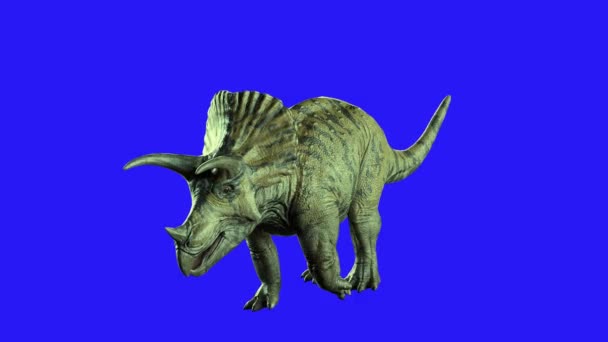 Triceratops Dinosaurier auf dunklem Hintergrund 3d Render - Filmmaterial, Video