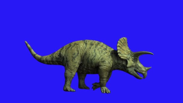 Triceratops dinosaure sur fond sombre rendu 3D
 - Séquence, vidéo