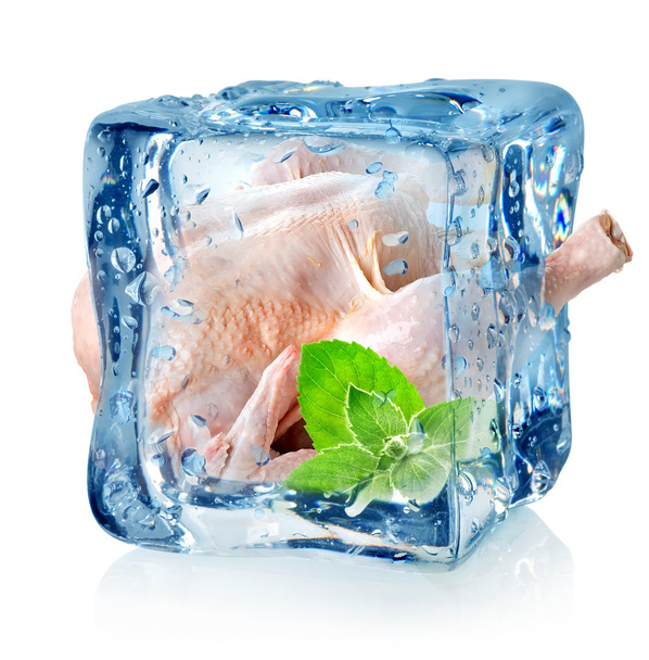 Pollo en cubo de hielo
 - Foto, Imagen