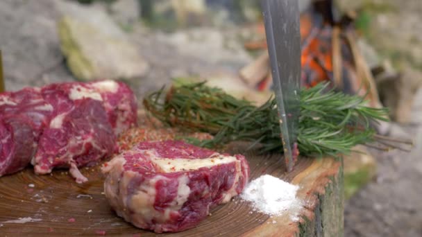 jídlo v ohni, šťavnaté vepřové filety posypané kořením na vaření steak na dřevěném bloku na pozadí táboráku na pikniku - Záběry, video