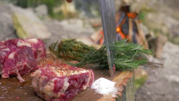 jugoso filete de ternera espolvoreado con especias para preparar la parrilla en un bloque de madera en el fondo de la hoguera en el picnic
 - Metraje, vídeo