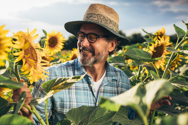 Portrait of mature man wearing straw hat in sunflowers filed - Foto, imagen