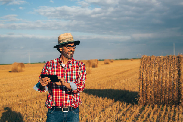 mature agronomist using tablet on cultivated wheat land  - Φωτογραφία, εικόνα