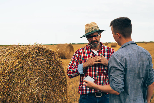 Farmers talking on wheat field - Фото, зображення
